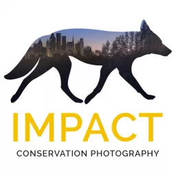 Impact: The Conservation Photography Podcast artwork