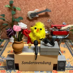 Sondersvendung