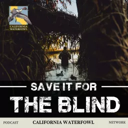 Save it for the Blind Podcast artwork