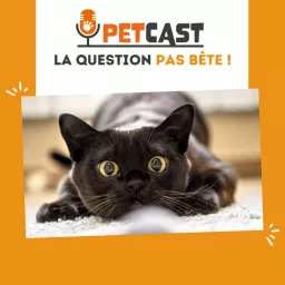 La question pas bête ! 🐾🧐 Podcast artwork