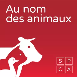 Au nom des animaux Podcast artwork