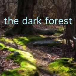 The Dark Forest Podcast artwork