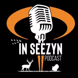 In Seezyn Podcast artwork