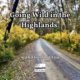 Going Wild in the Highlands Podcast artwork