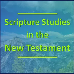 Scripture Studies in the New Testament - A Verse-by-Verse Bible Study