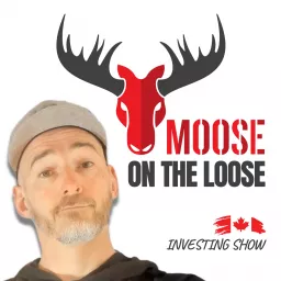 Moose on The Loose