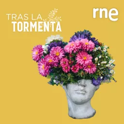 Tras la tormenta Podcast artwork