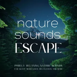 Nature Sounds Escape | Purely Relaxing Nature Sounds For Sleep, Relaxation, Meditation, Mindfulness, Study & Focus | Ambient Sounds Of Nature | Rain Sounds, Ocean Waves, Waterfall, River Sounds, Singing Birds, Beach, 8D Sounds, ASMR, White Noise & More
