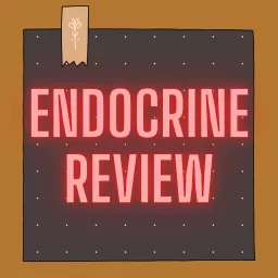 Endocrinology Review Podcast artwork