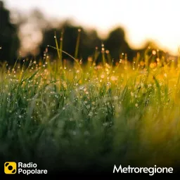 Metroregione Podcast artwork