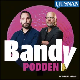 Bandypodden från Ljusnan