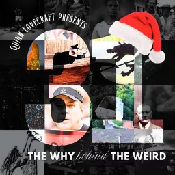 31: The Why Behind the Weird Podcast artwork