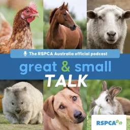 RSPCA Australia's Great & Small Talk Podcast artwork
