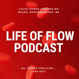 Life of Flow Podcast artwork