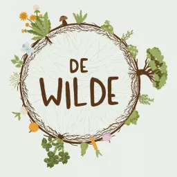 de Wilde podcast artwork