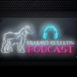 Brabant Bulletin Podcast artwork
