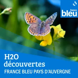 H2O Découvertes