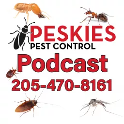 Peskies Pest Control Birmingham Alabama Podcast artwork