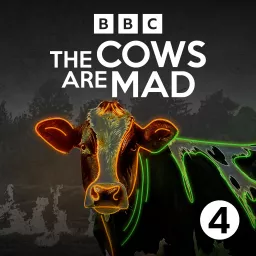 The Cows Are Mad Podcast artwork
