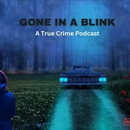 Gone in a Blink Podcast artwork