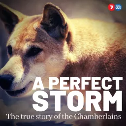 A Perfect Storm: The True Story of The Chamberlains Podcast artwork