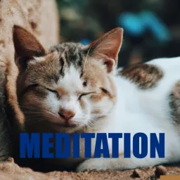 Meditation Podcast artwork