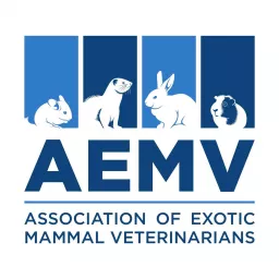 Down the Rabbit Hole with AEMV: Exotic Companion Mammal Briefs Podcast artwork
