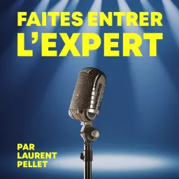 FAITES ENTRER L'EXPERT Podcast artwork