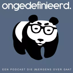 ONGEDEFINIEERD Podcast artwork