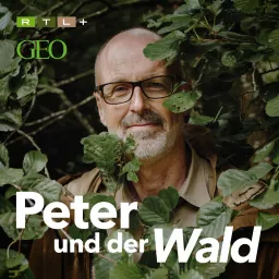 Peter und der Wald – ein GEO-Podcast