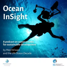 Ocean InSight by MeerWissen and the UN Ocean Decade Podcast artwork