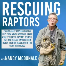 Rescuing Raptors: Stories About Birds of Prey Rescues Podcast artwork