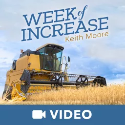 Week Of Increase (Video)