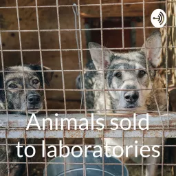 Animals sold to laboratories