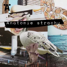 Anatomie strachu