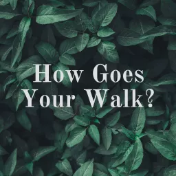How Goes Your Walk? Podcast artwork