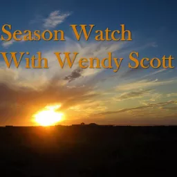 Season Watch with Wendy Scott