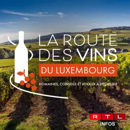 RTL Infos - La Route des Vins du Luxembourg - Domaines viticoles, conseils oenologiques et joyaux à déguster Podcast artwork