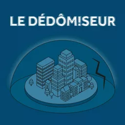 Le Dédômiseur