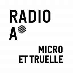 Micro et truelle, la chronique des archéologues de la Ville de Lyon Podcast artwork