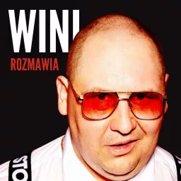 WINI Rozmawia Podcast artwork