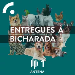 Entregues à Bicharada