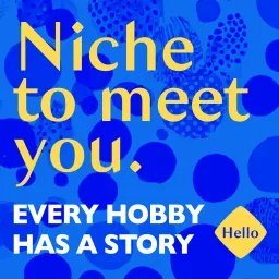 Niche to Meet You Podcast artwork