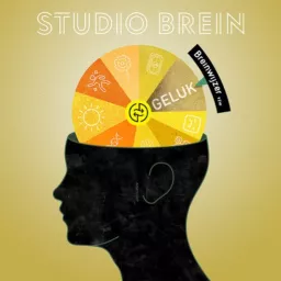 Studio Brein Podcast artwork