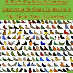 A Bird's-Eye View of Christmas: