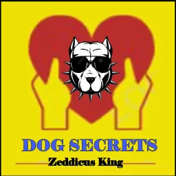 DOG SECRETS - Zeddicus King - The Dog Prodigy Podcast artwork