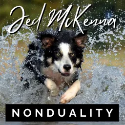 Jed McKenna Nonduality Podcast artwork
