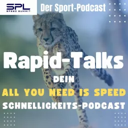 🐆Rapid-Talks 