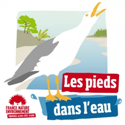 Les Pieds dans l'Eau