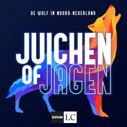 Juichen of Jagen, de wolf in Noord-Nederland